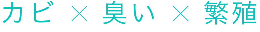 防カビ × カビ + 臭い + 繁殖