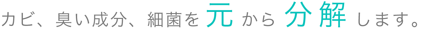 カビ、臭い成分、細菌を元から分解します。