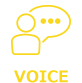 VOICE